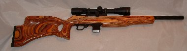Ruger 10/22 HM2